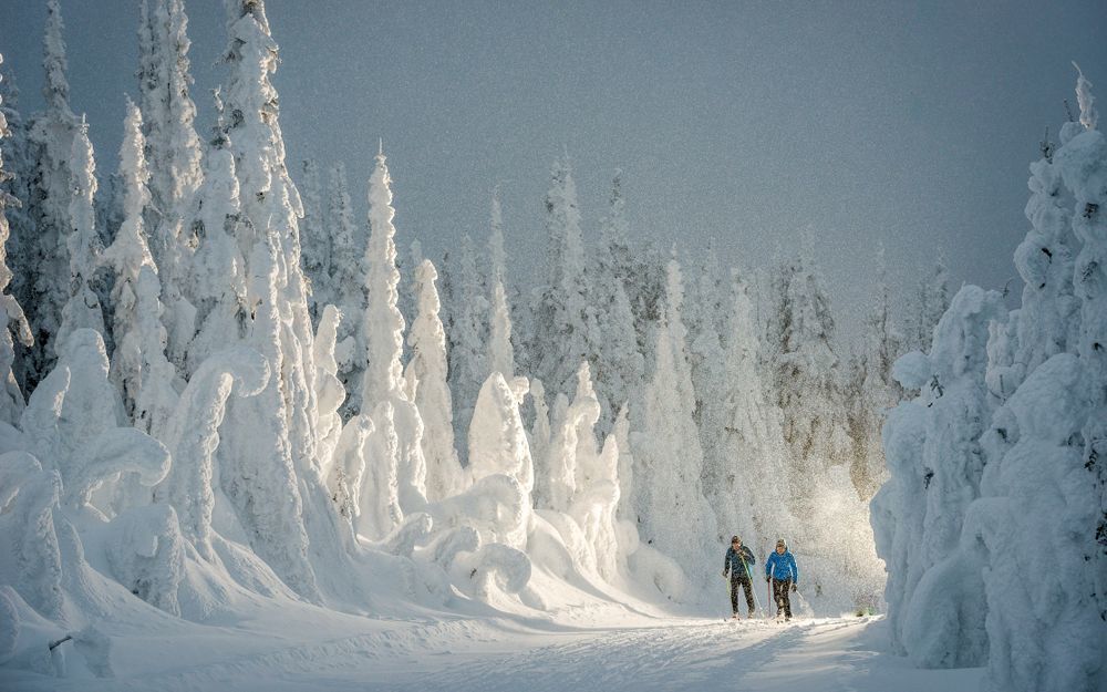 Snow conditions in Canada