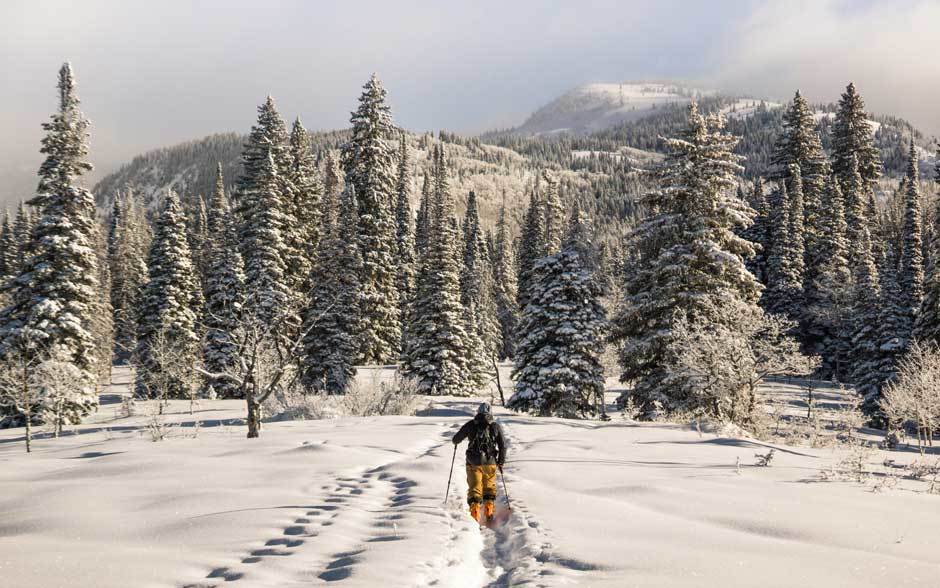 Non-Skiers in Steamboat