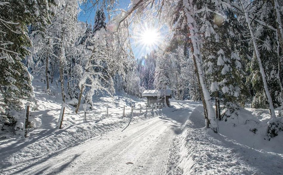 Non-Skiers in Niederau-Oberau