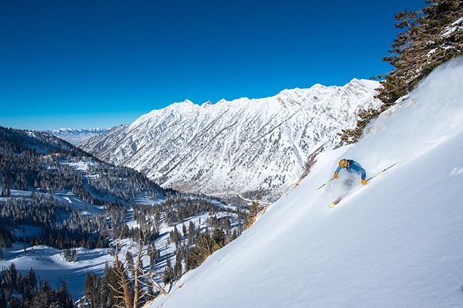 Skiing in Snowbird