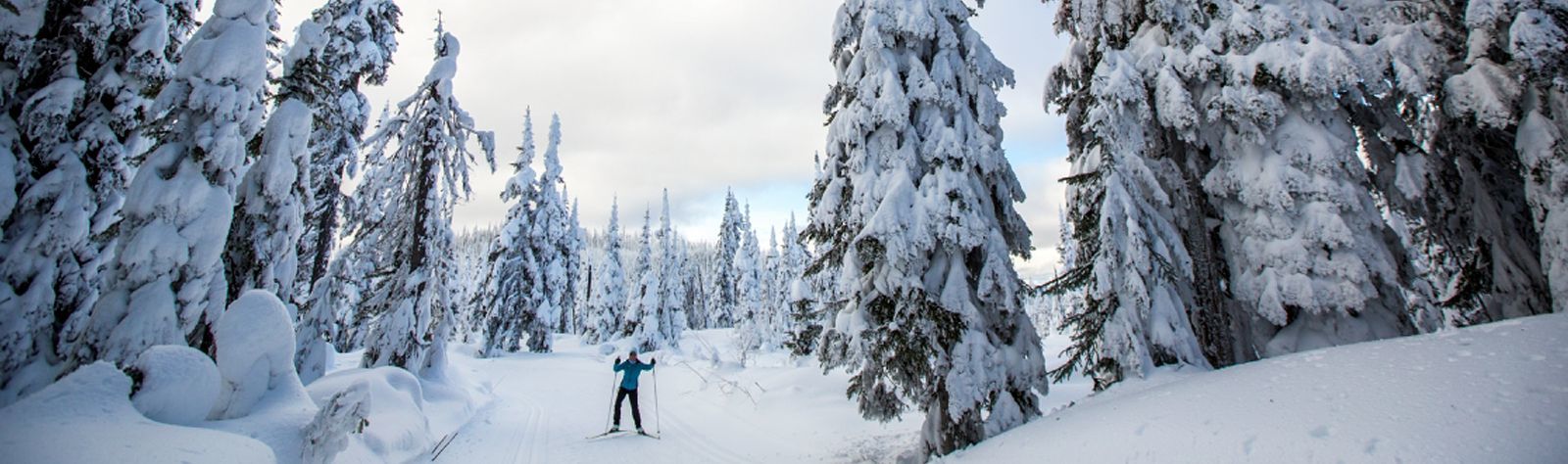 Sun Peaks Ski Holidays