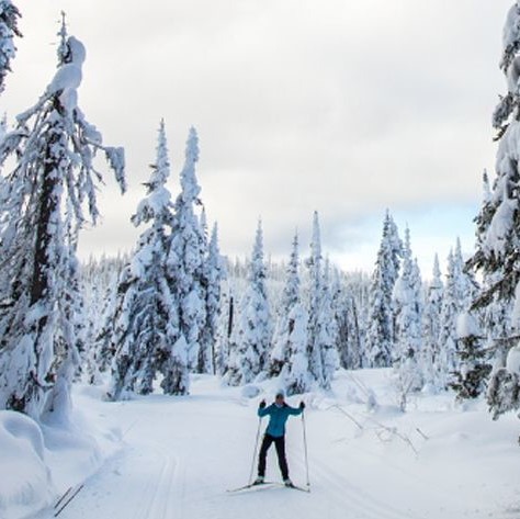 Sun Peaks ski holidays