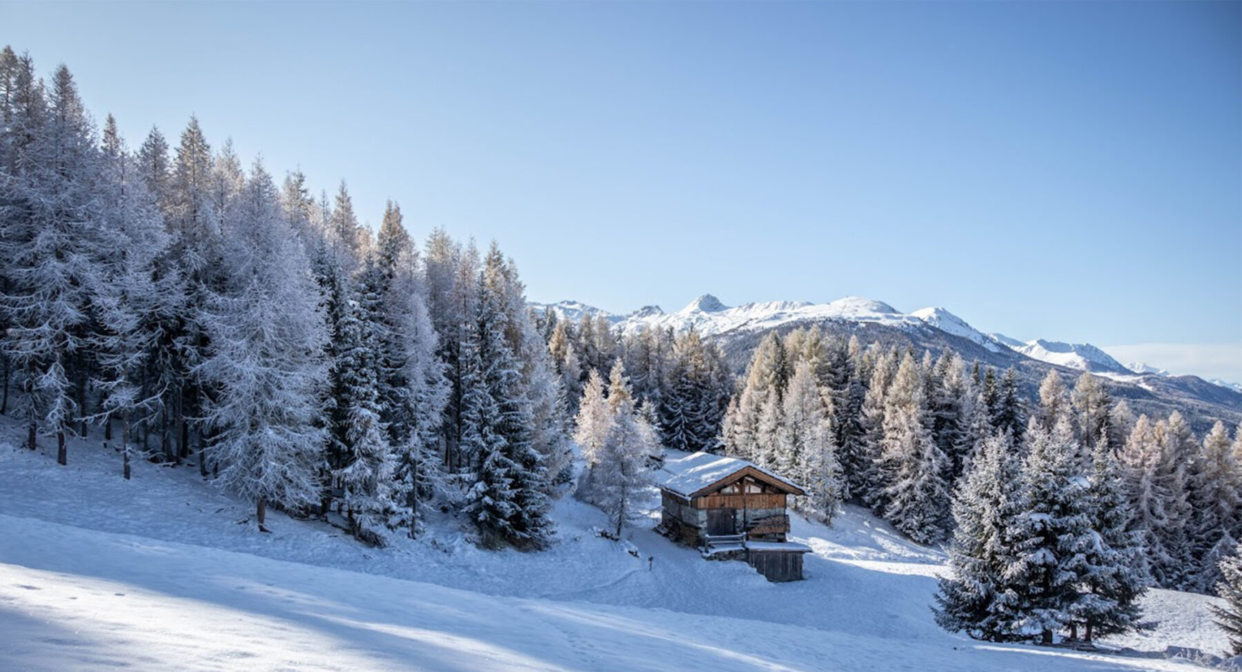 Mountains behind the treeline at Les Arcs 1950