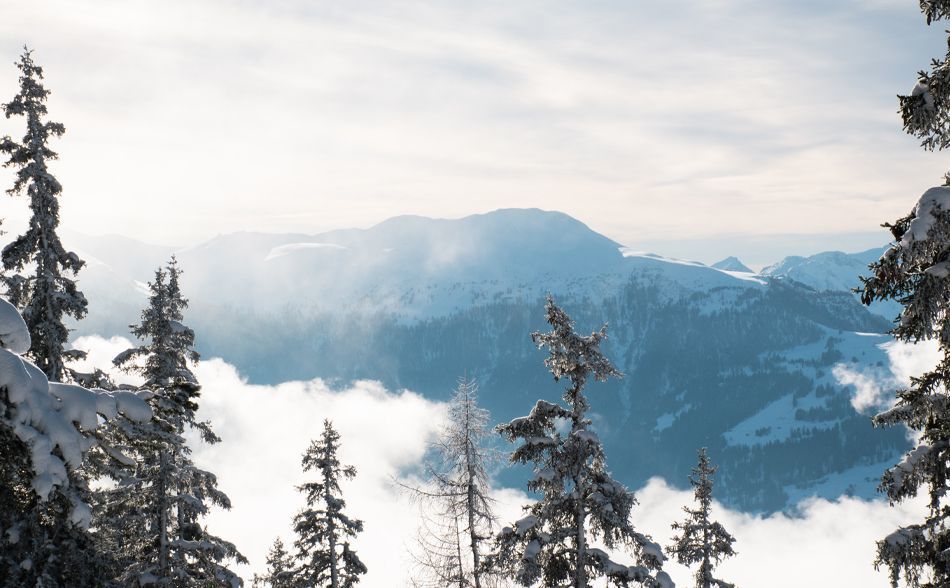 Non-Skiers in Arosa