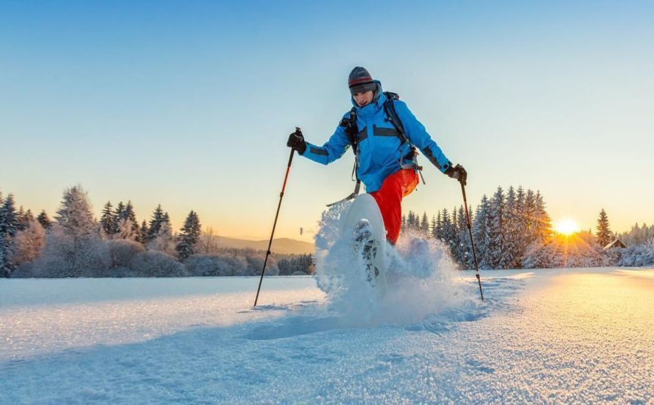 Non-Skiers in Les Carroz