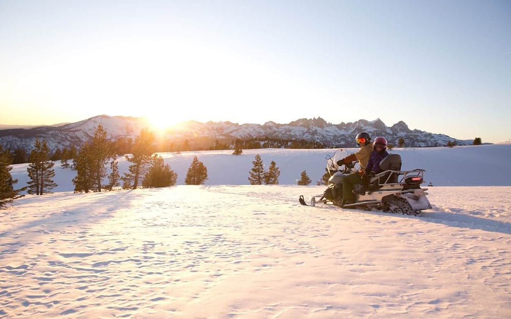 Mammoth in February