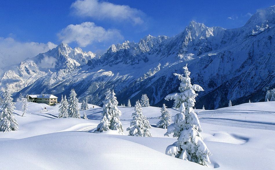 Snowy trees in the French Alps